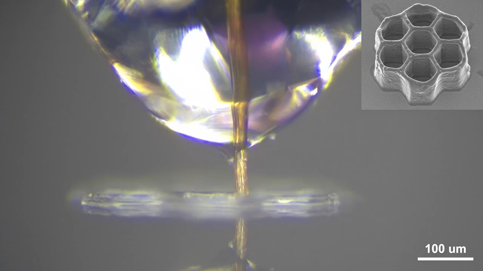 Necroprinting Breakthrough: Dead Mosquito Proboscis as Ultra-Fine 3D Printing Nozzle